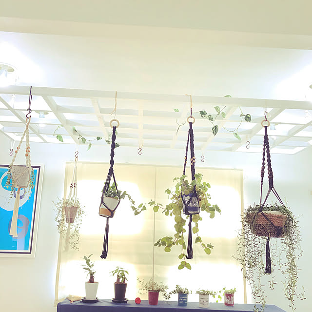 DIY/ハンドメイド/観葉植物/リビング/マクラメハンギングのインテリア実例 - 2020-11-23 09:29:40