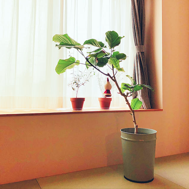 coco.262611201さんの実例写真