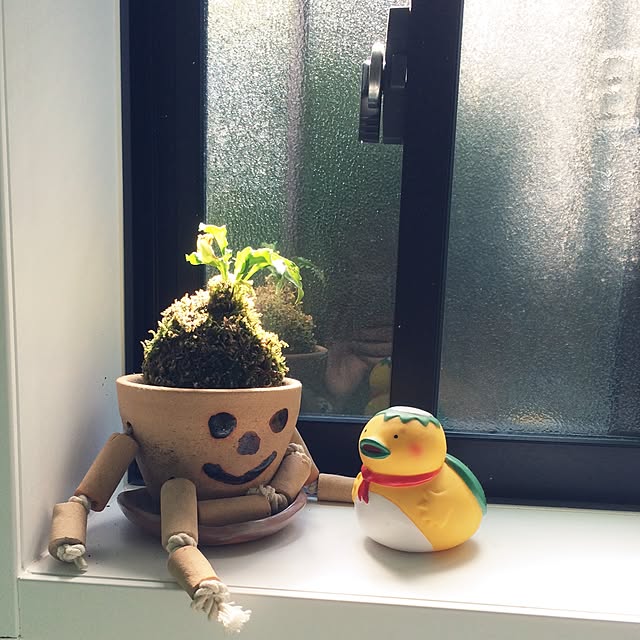 puさんの実例写真