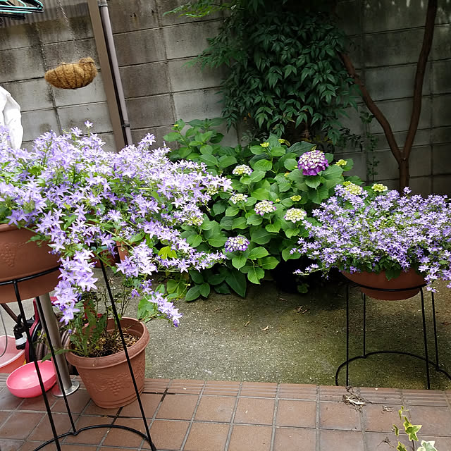 chakoさんの実例写真