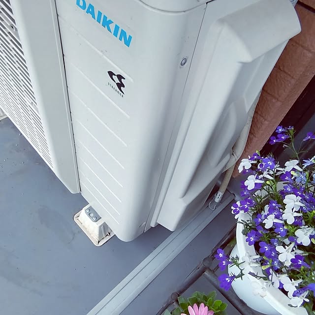 NOAHさんの実例写真