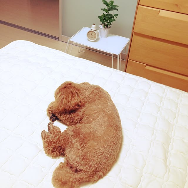 mocoさんの実例写真