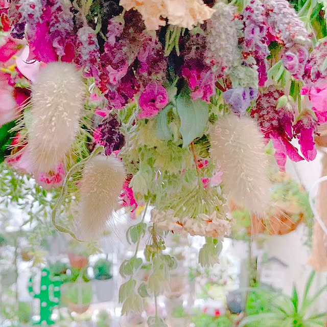 Hanakaさんの実例写真