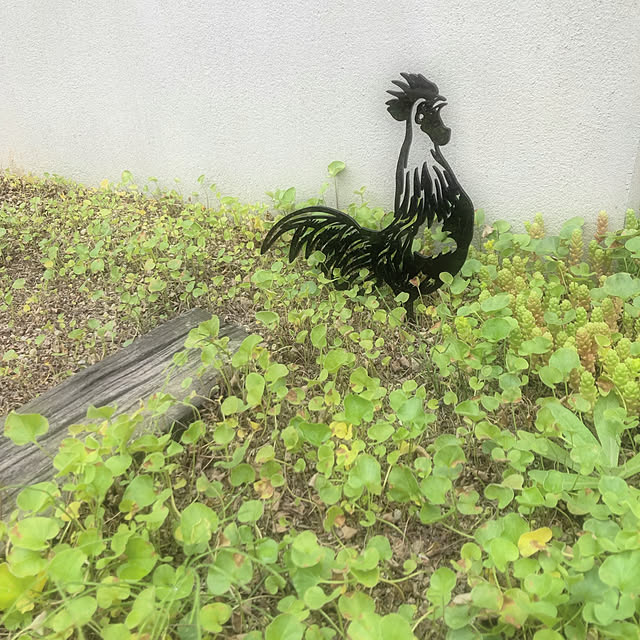 BOWさんの実例写真