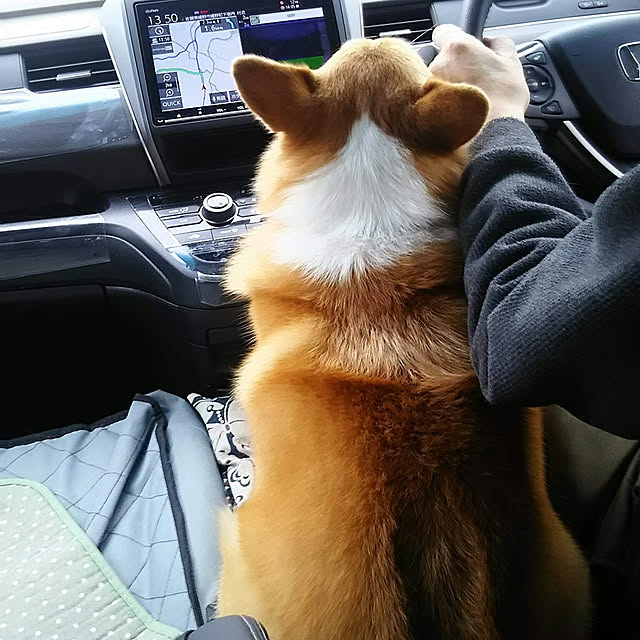 tenntennさんの実例写真