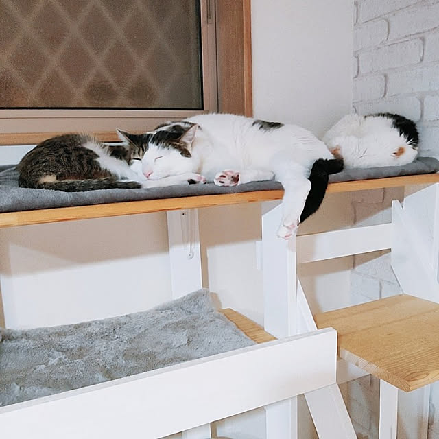 kirakirahikaruさんの実例写真