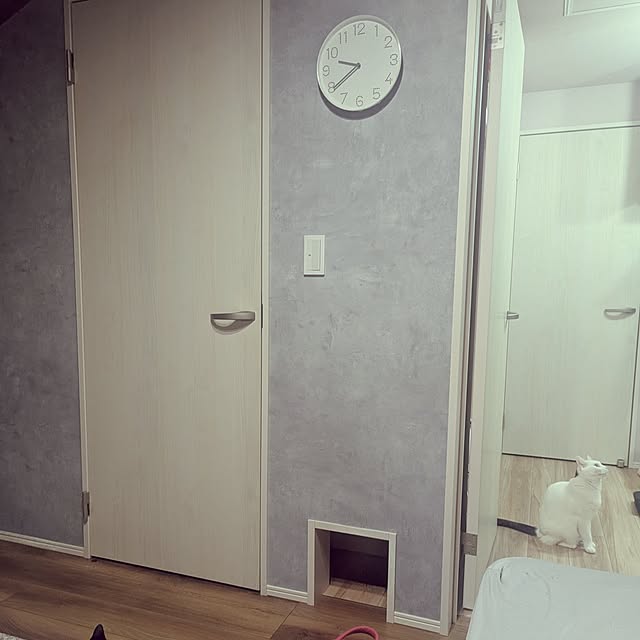 shiratamaさんの実例写真