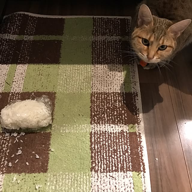 1633さんの実例写真