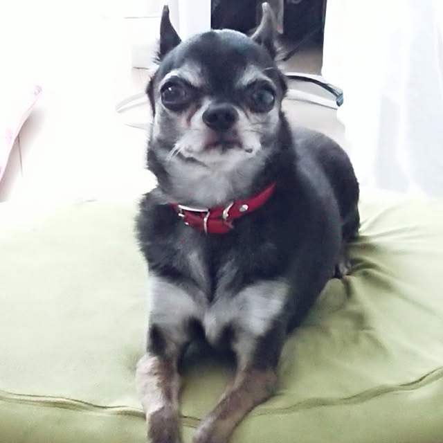 Bienvenueさんの実例写真
