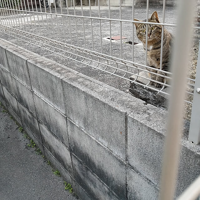 marosukeさんの実例写真