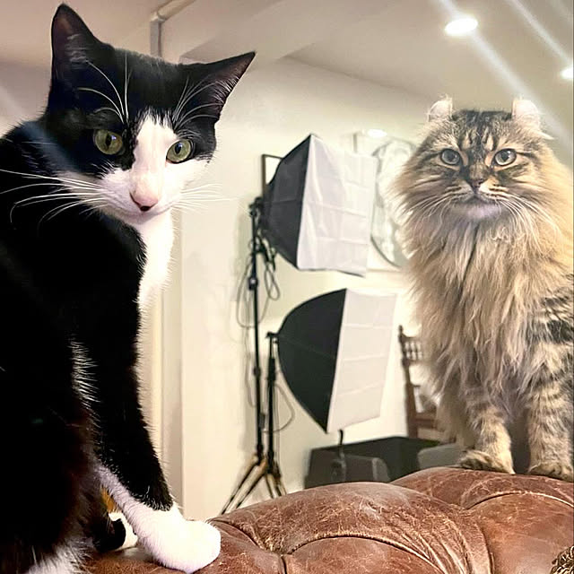 louisさんの実例写真