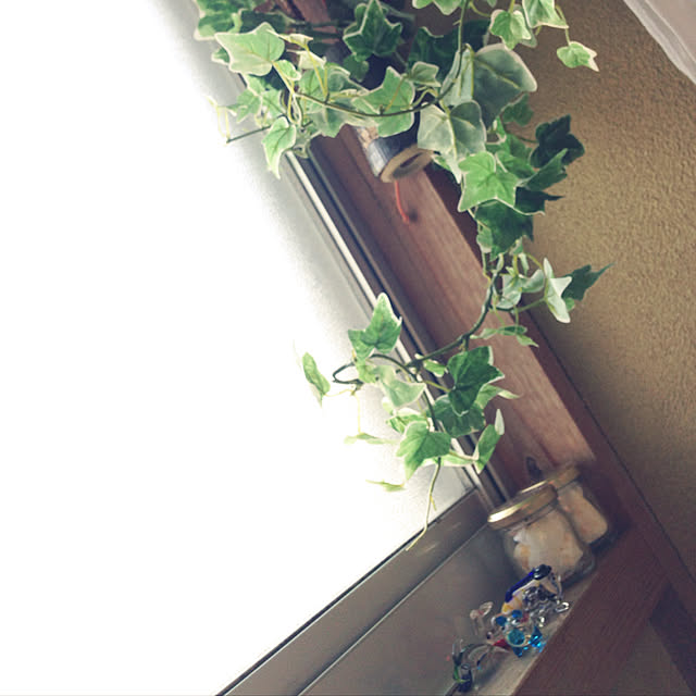 aoinokimiさんの実例写真