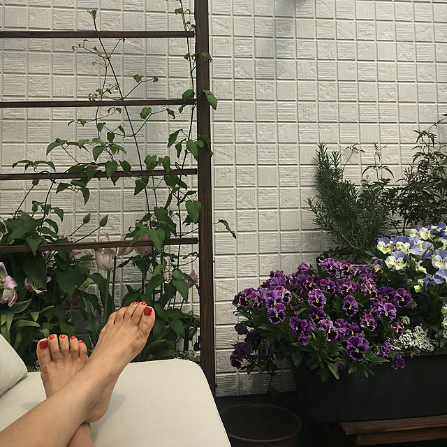 sasaさんの実例写真