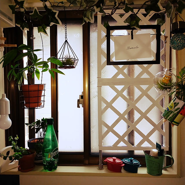 キッチン/セリア/ダイソー/観葉植物/DIY...などのインテリア実例 - 2021-05-24 14:21:58