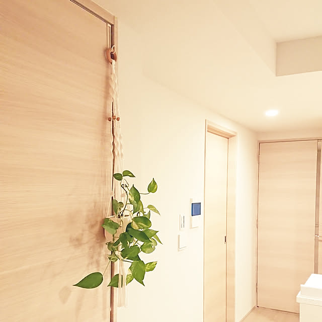 玄関/入り口/観葉植物のインテリア実例 - 2018-10-28 00:19:16