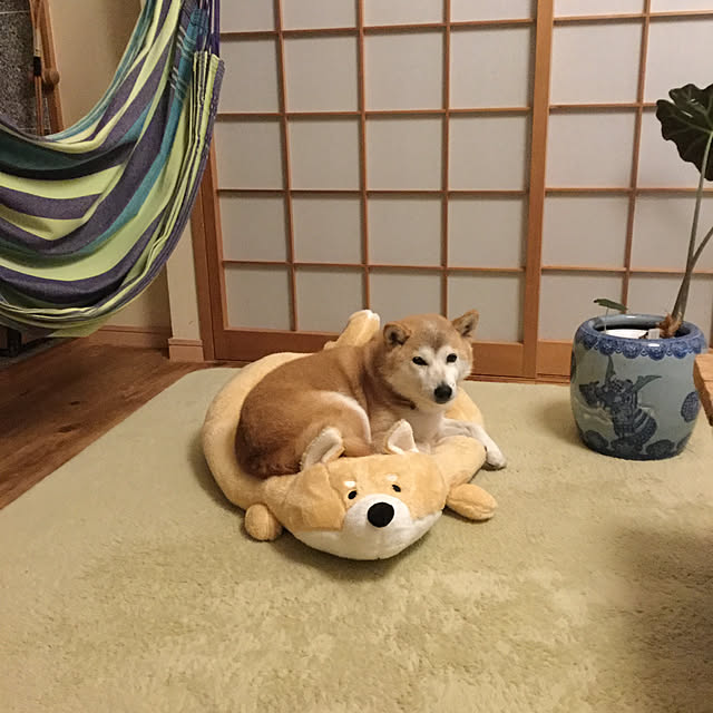 chiaki.fさんの実例写真
