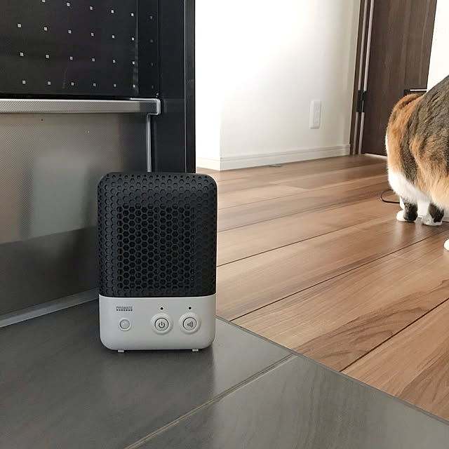 ドライフラワーのある暮らし/グレーインテリア/モノトーン/セラミックヒーター/ねこのいる暮らし...などのインテリア実例 - 2021-12-12 12:37:24