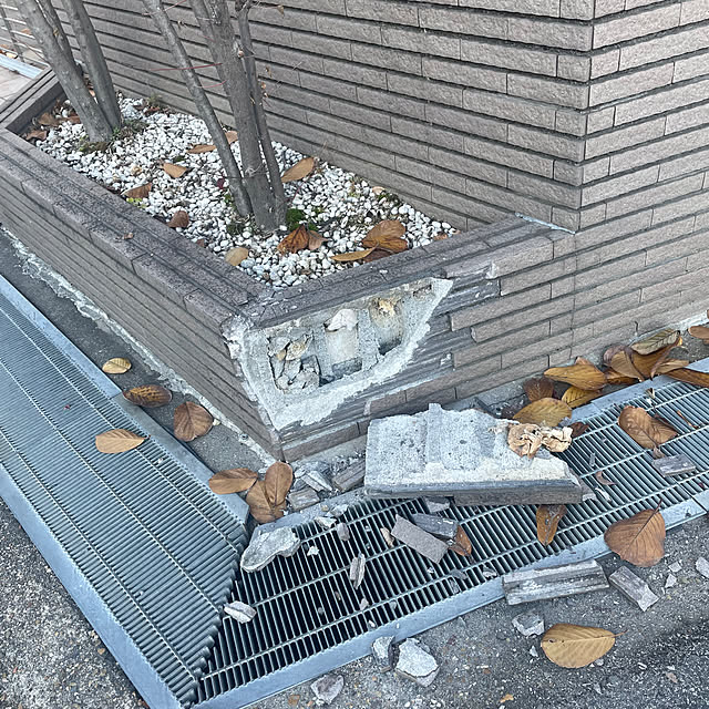 kuikoさんの部屋