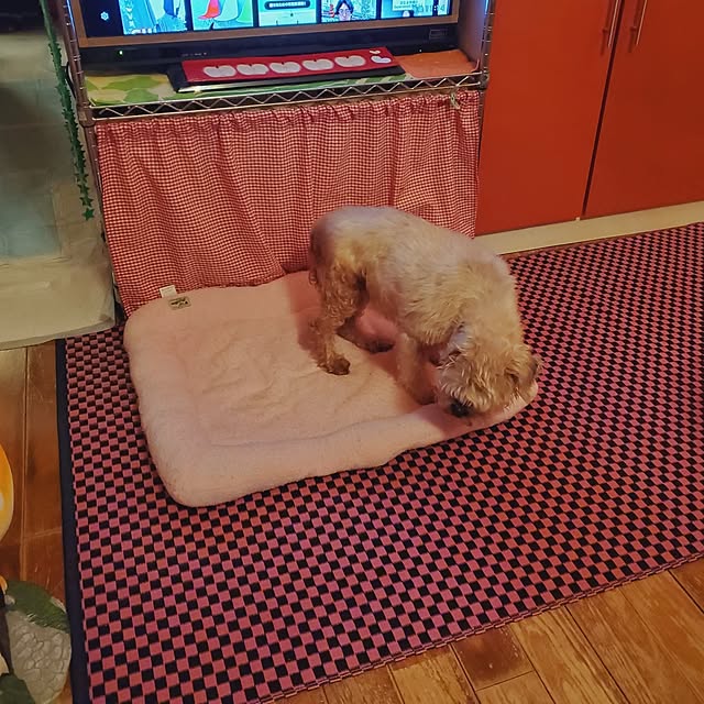 kumutanさんの部屋
