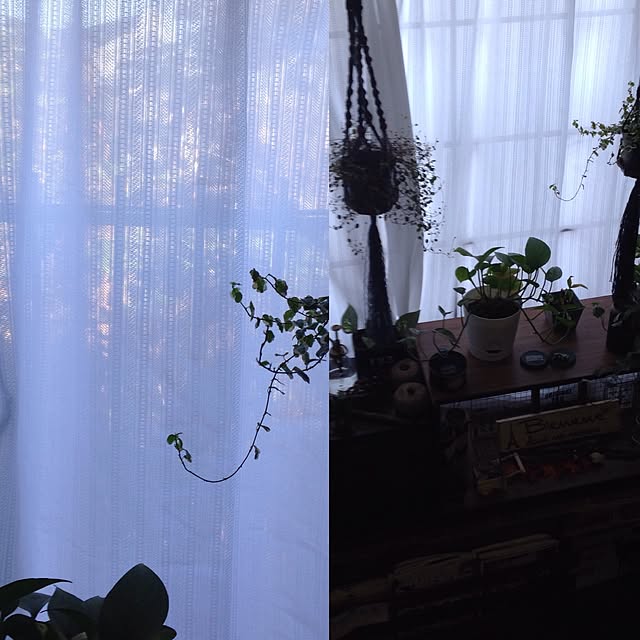 mikyuさんの実例写真