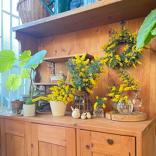 玄関/入り口/花が好き/ミモザリース/玄関/ラッセントレー 鳥...などのインテリア実例 - 2026-03-06 20:21:05