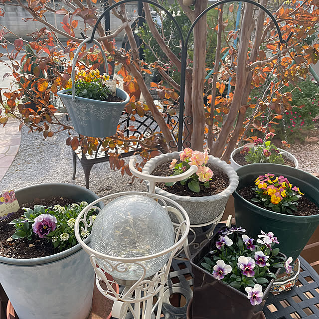 ronronさんの部屋