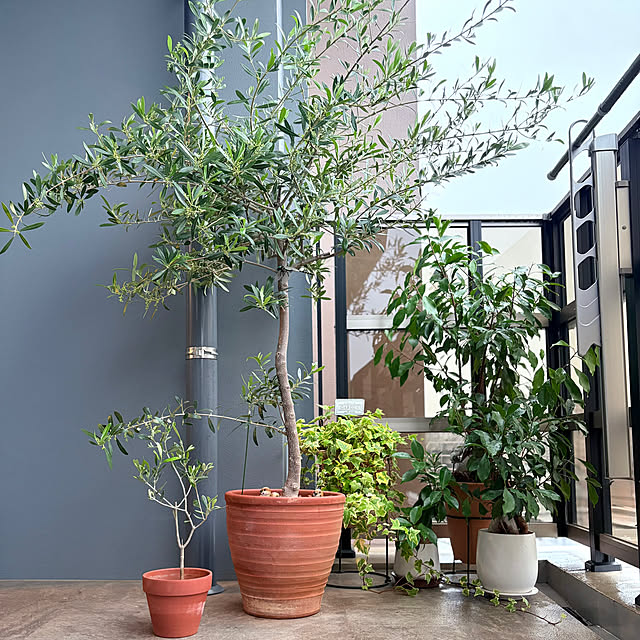 up0524さんの部屋