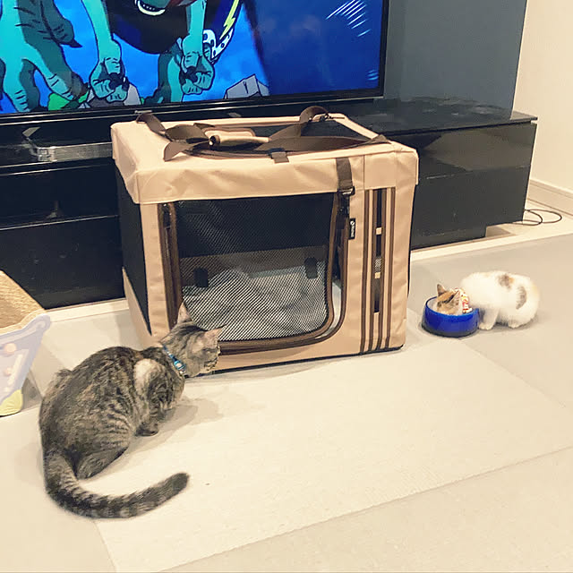 m.coccoさんの実例写真