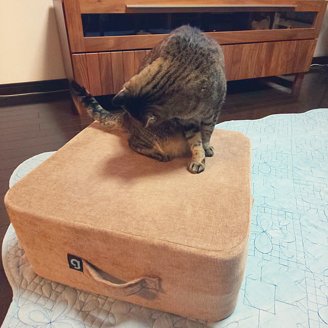 komugiさんの実例写真
