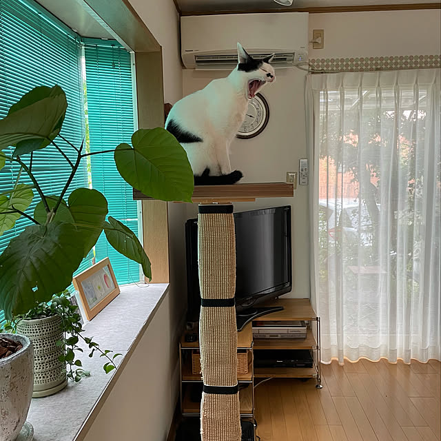 nobikoさんの実例写真