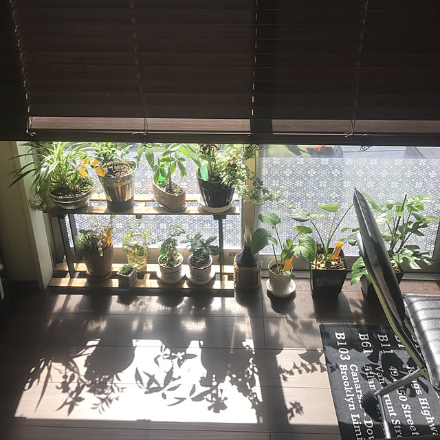 机/癒しの空間/ダイソー/植物/ハンドメイド...などのインテリア実例 - 2017-09-30 11:15:08