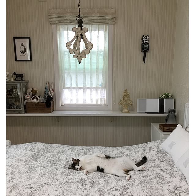 yuchiさんの実例写真