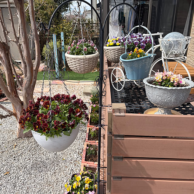 ronronさんの部屋