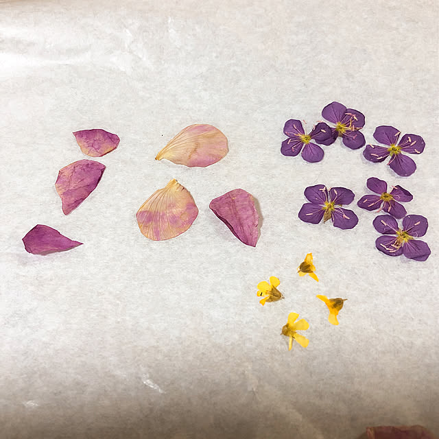 kojiro120513さんの実例写真