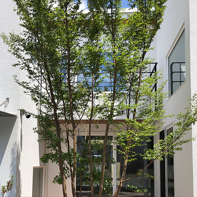 satosatoさんの実例写真
