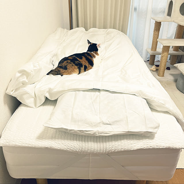 comaさんの実例写真