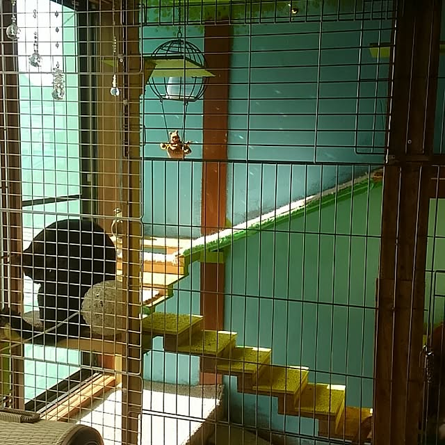 hiro310さんの実例写真