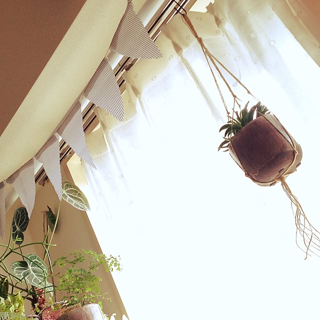 mameさんの実例写真