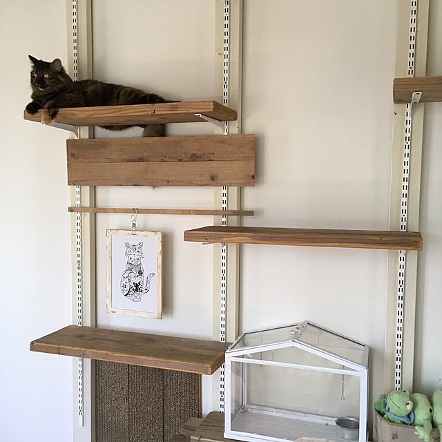 mikomaruさんの実例写真