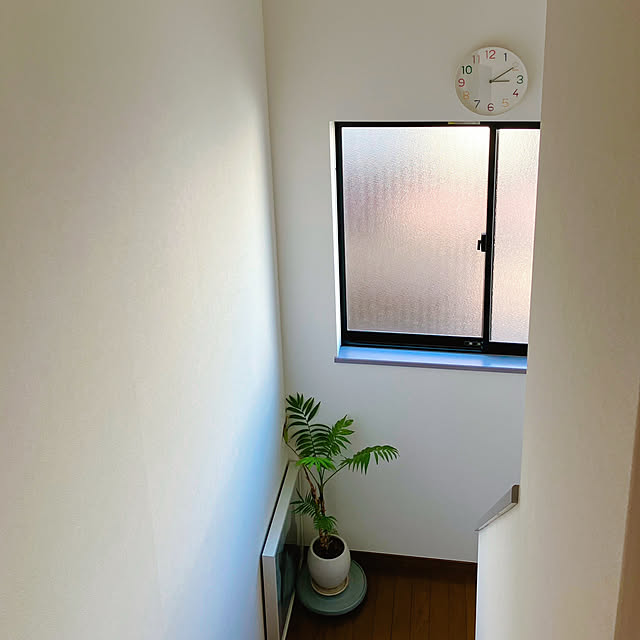 akanekoさんの実例写真