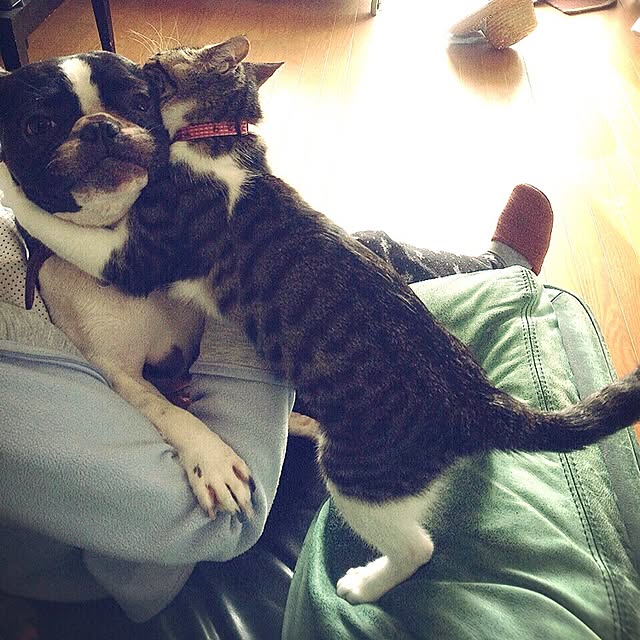 87さんの実例写真