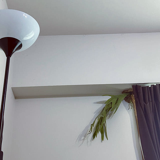 tomoさんの実例写真