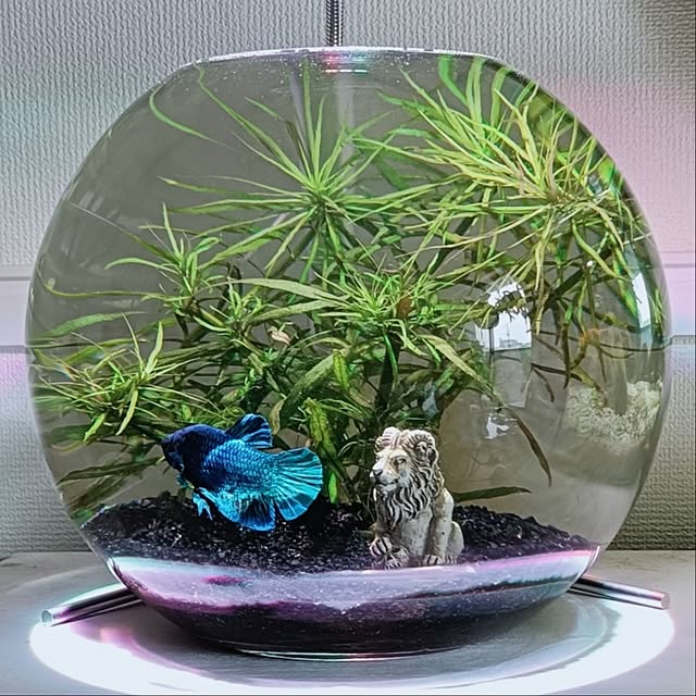 coco.Apartmanさんの実例写真