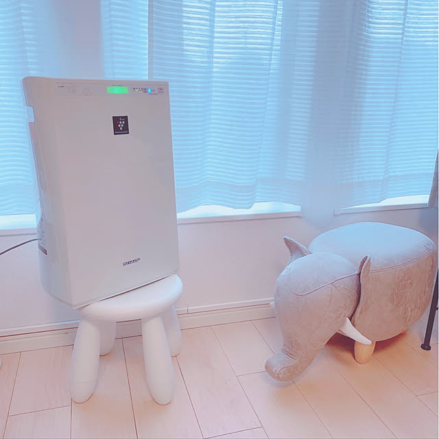 Ruiさんの実例写真