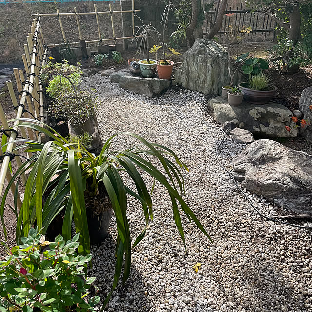 shin0719さんの部屋