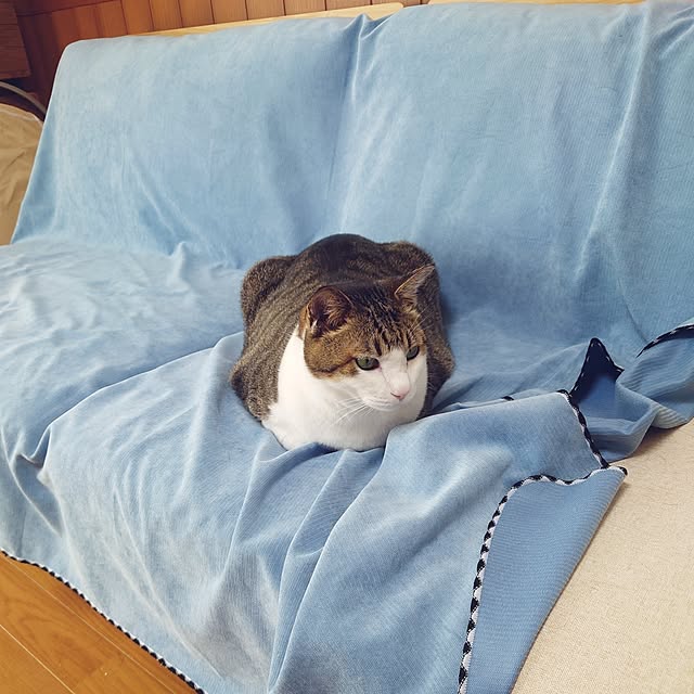 nachiさんの部屋