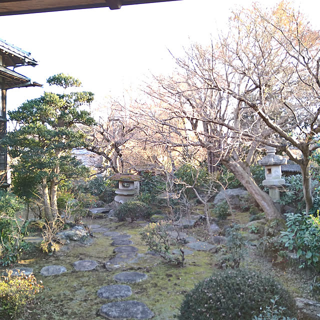 y.ebihara0811さんの実例写真