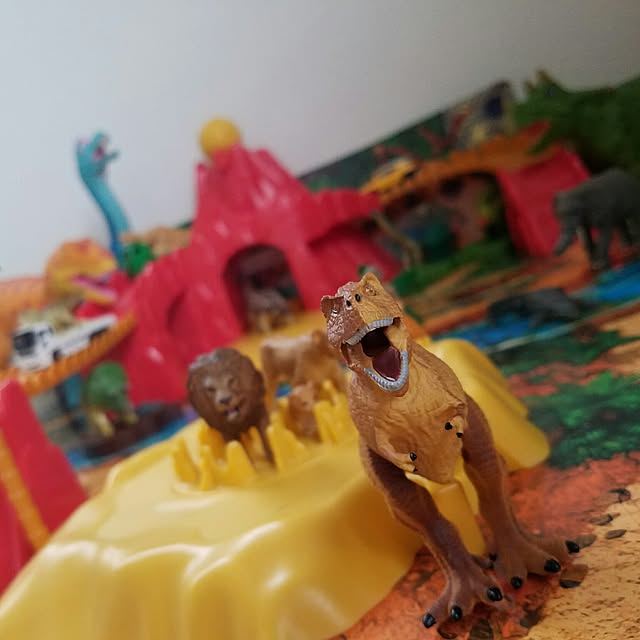 v678910さんの実例写真