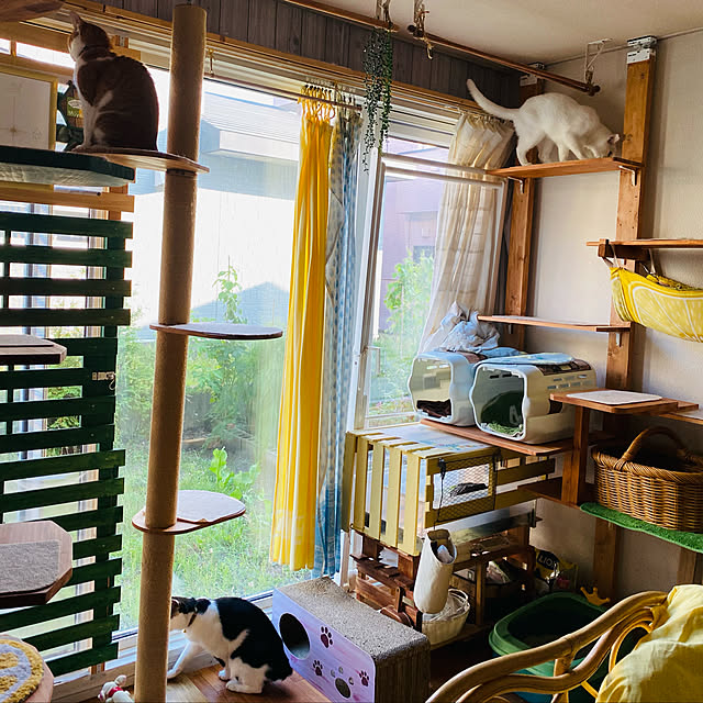 SHIHOさんの実例写真