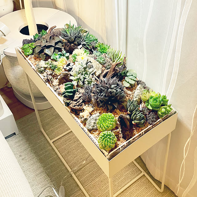 nanakoさんの実例写真